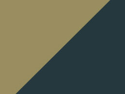 RAL 1020/7016 gimm-menuiseries