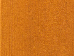 pin-sylvestre-lasure-dore