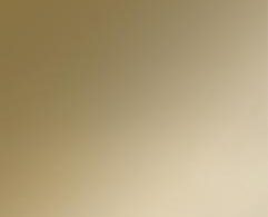 décors verre laqué porte de placard coulissante Alégra²