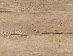 Chêne Singulier Influence